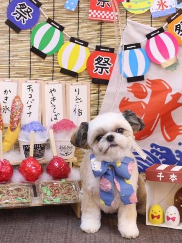 20240720こむぎちゃん